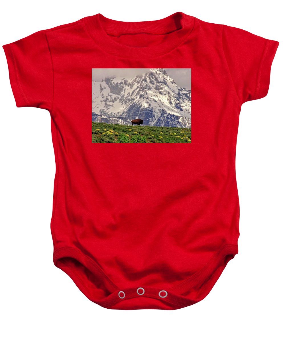 Spring Bison In Grand Teton National Park - Baby Onesie