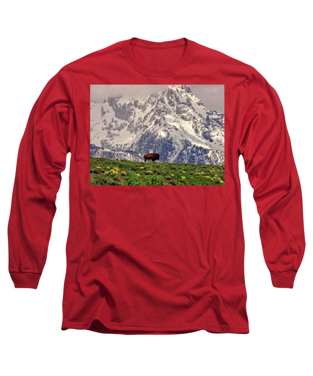 Spring Bison In Grand Teton National Park - Long Sleeve T-Shirt