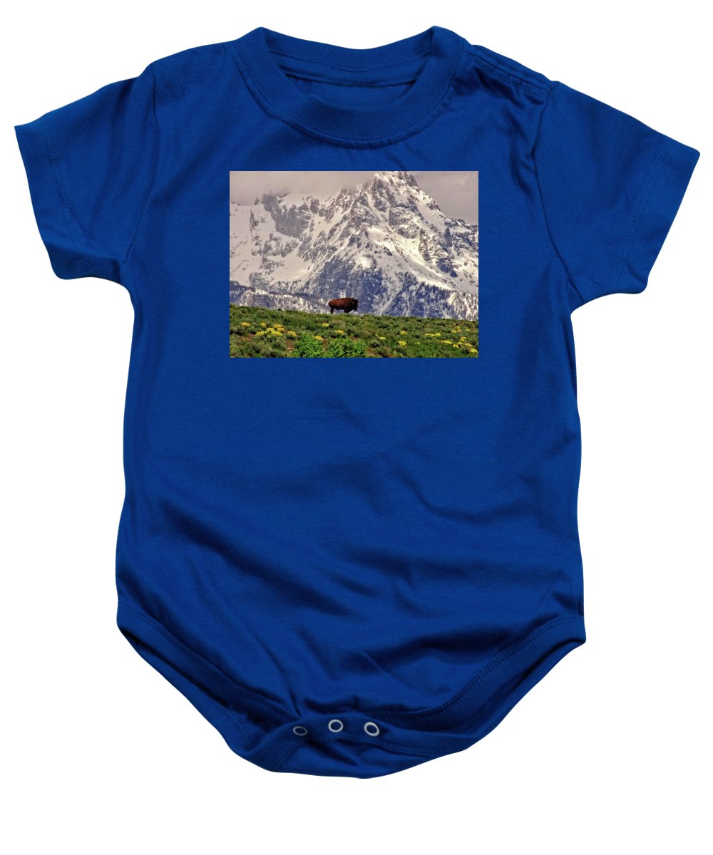 Spring Bison In Grand Teton National Park - Baby Onesie