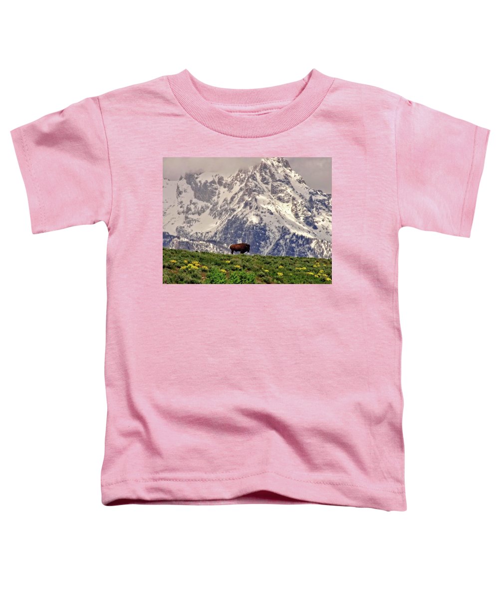 Spring Bison In Grand Teton National Park - Toddler T-Shirt