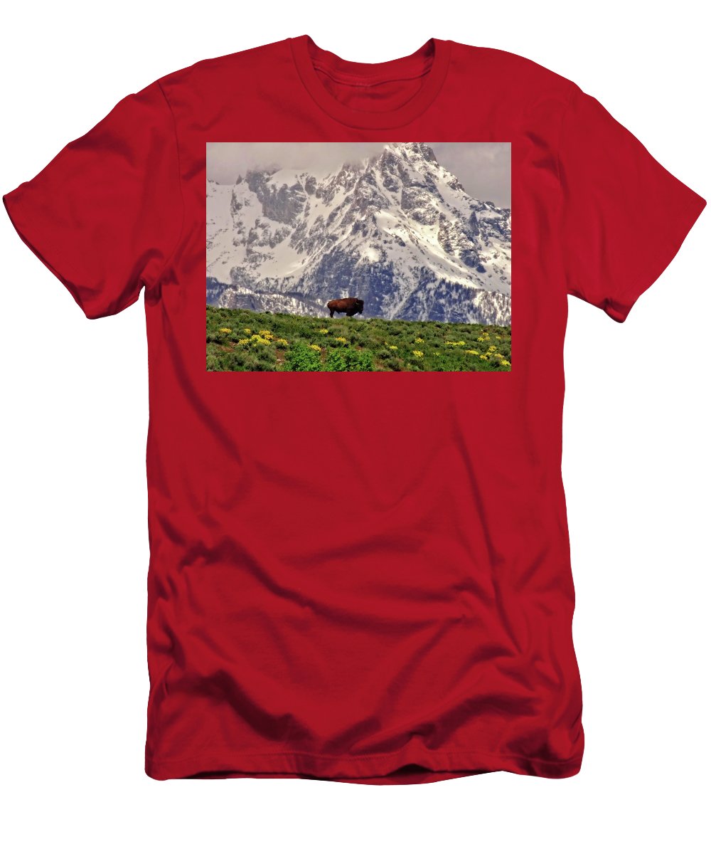 Spring Bison In Grand Teton National Park - T-Shirt