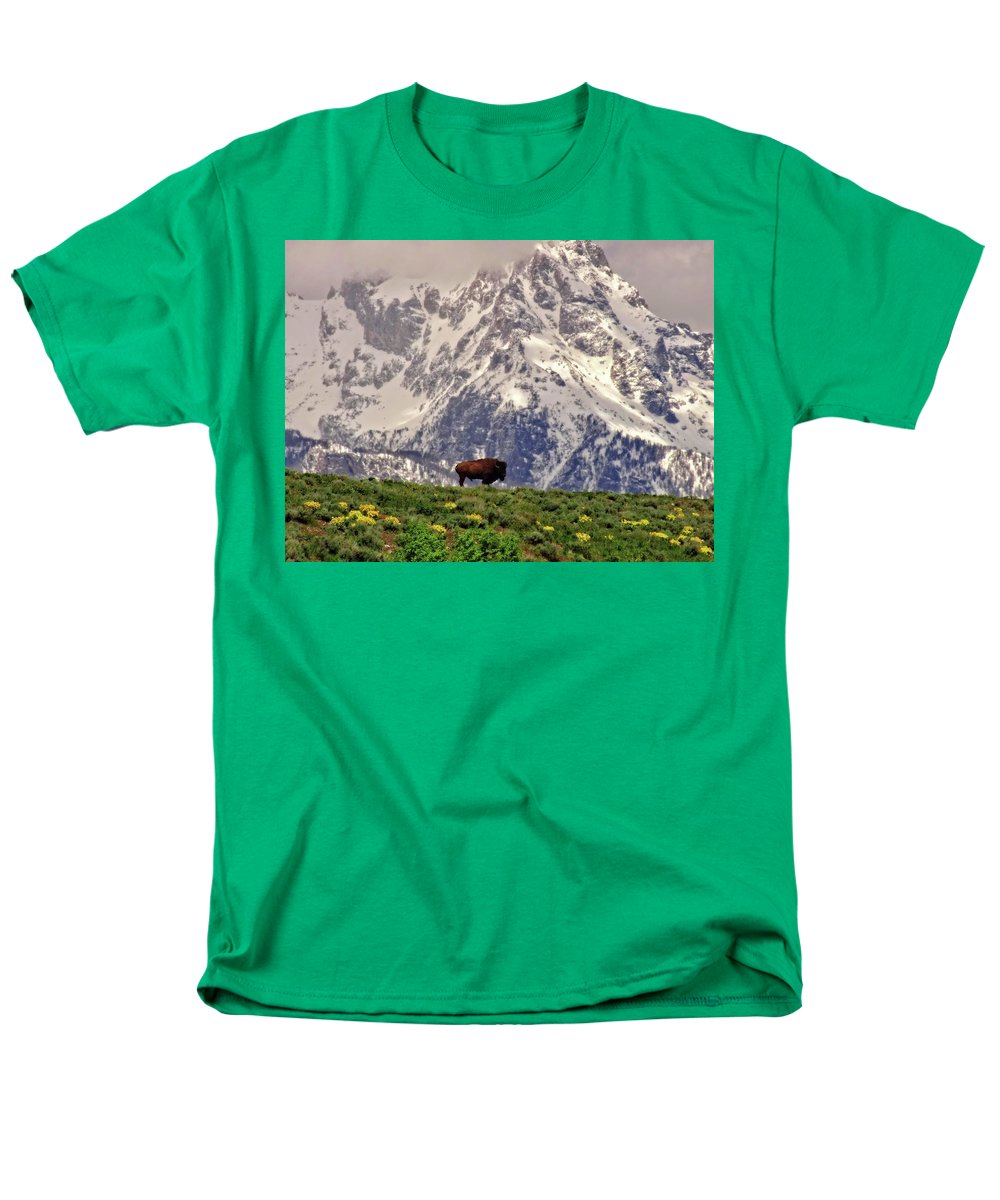 Spring Bison In Grand Teton National Park - Men's T-Shirt  (Regular Fit)