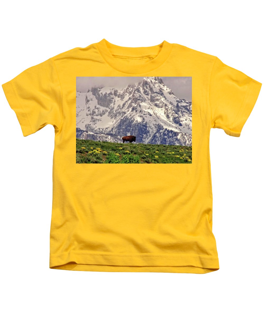 Spring Bison In Grand Teton National Park - Kids T-Shirt