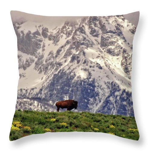 Spring Bison In Grand Teton National Park - Throw Pillow