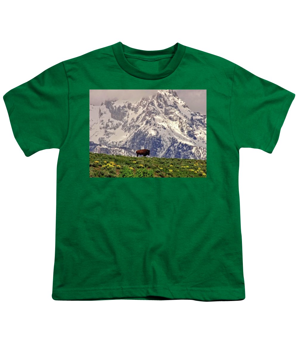 Spring Bison In Grand Teton National Park - Youth T-Shirt