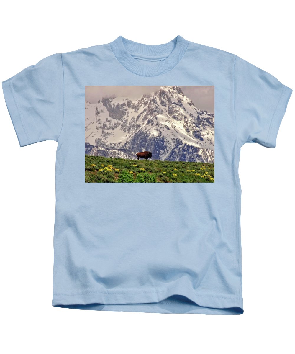 Spring Bison In Grand Teton National Park - Kids T-Shirt