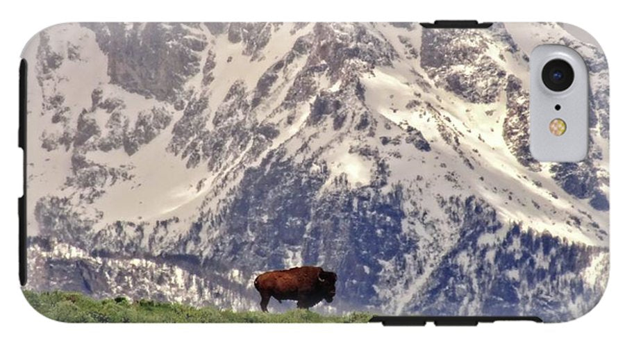 Spring Bison In Grand Teton National Park - Phone Case