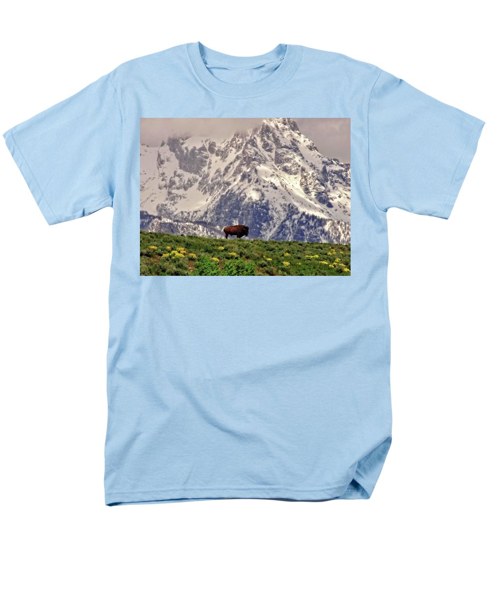 Spring Bison In Grand Teton National Park - Men's T-Shirt  (Regular Fit)