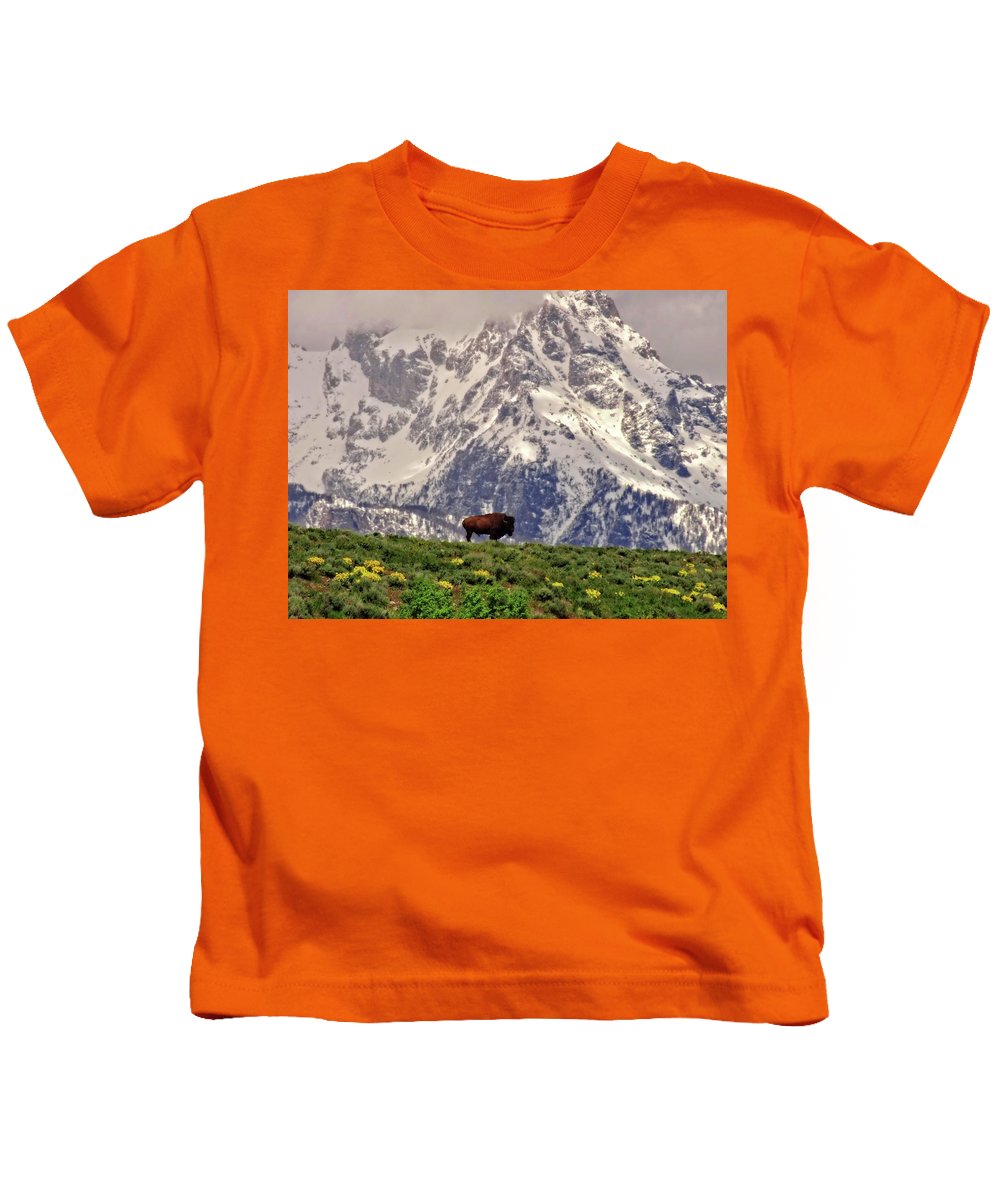 Spring Bison In Grand Teton National Park - Kids T-Shirt