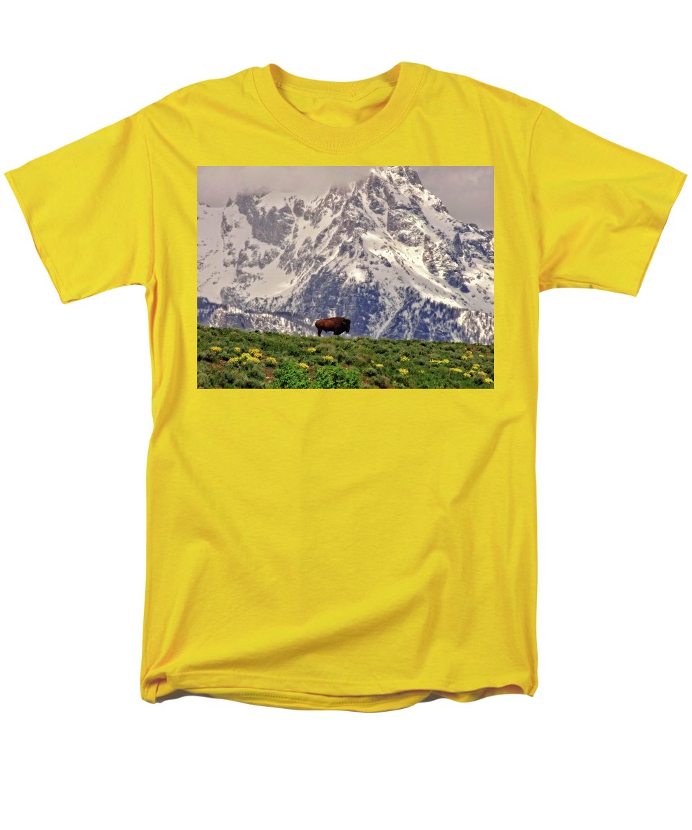 Spring Bison In Grand Teton National Park - Men's T-Shirt  (Regular Fit)