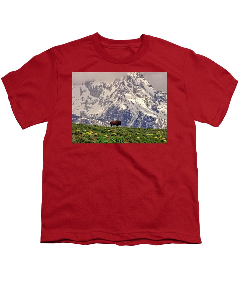 Spring Bison In Grand Teton National Park - Youth T-Shirt