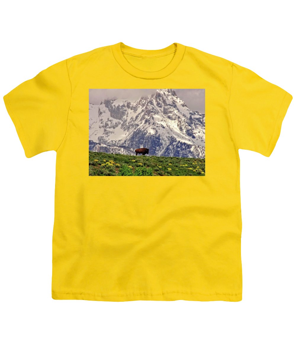 Spring Bison In Grand Teton National Park - Youth T-Shirt