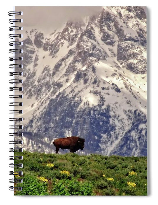 Spring Bison In Grand Teton National Park - Spiral Notebook