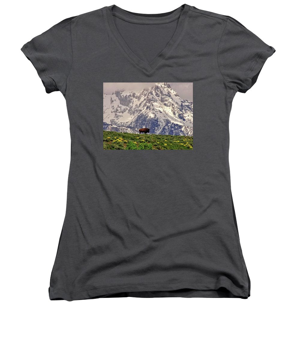 Spring Bison In Grand Teton National Park - Women's V-Neck