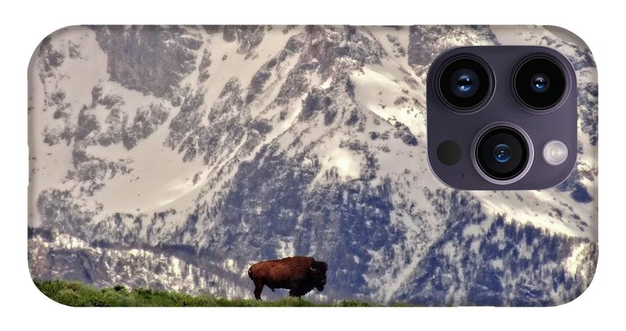 Spring Bison In Grand Teton National Park - Phone Case