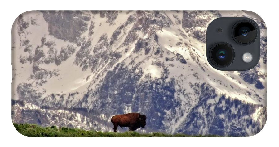 Spring Bison In Grand Teton National Park - Phone Case