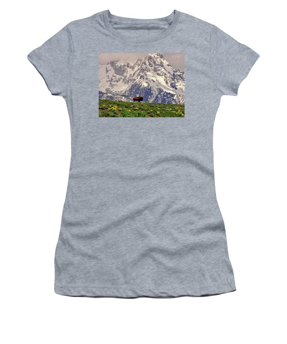 Spring Bison In Grand Teton National Park - Women's T-Shirt