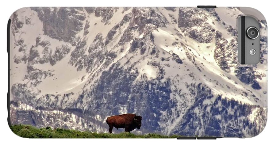 Spring Bison In Grand Teton National Park - Phone Case