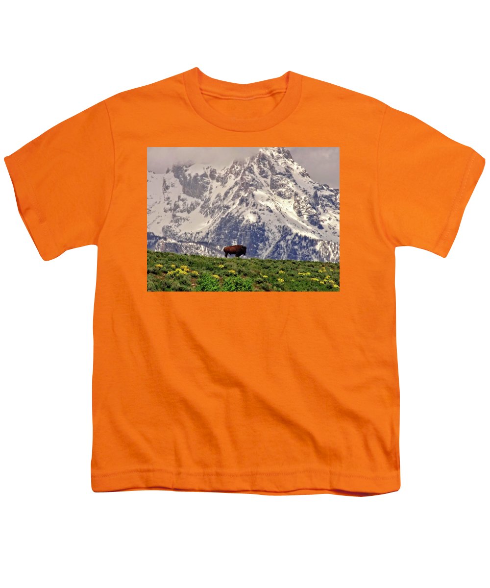 Spring Bison In Grand Teton National Park - Youth T-Shirt