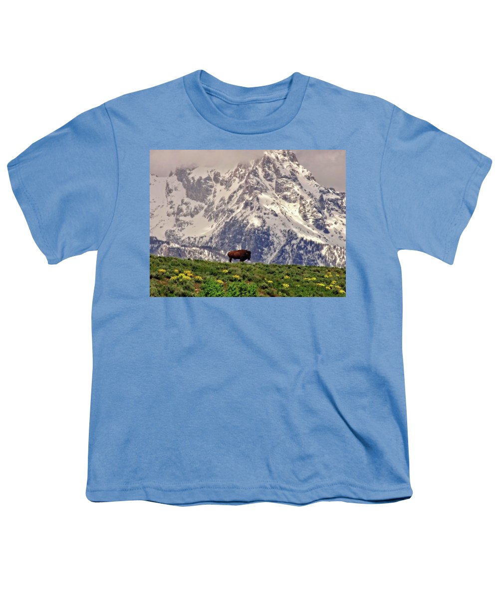 Spring Bison In Grand Teton National Park - Youth T-Shirt