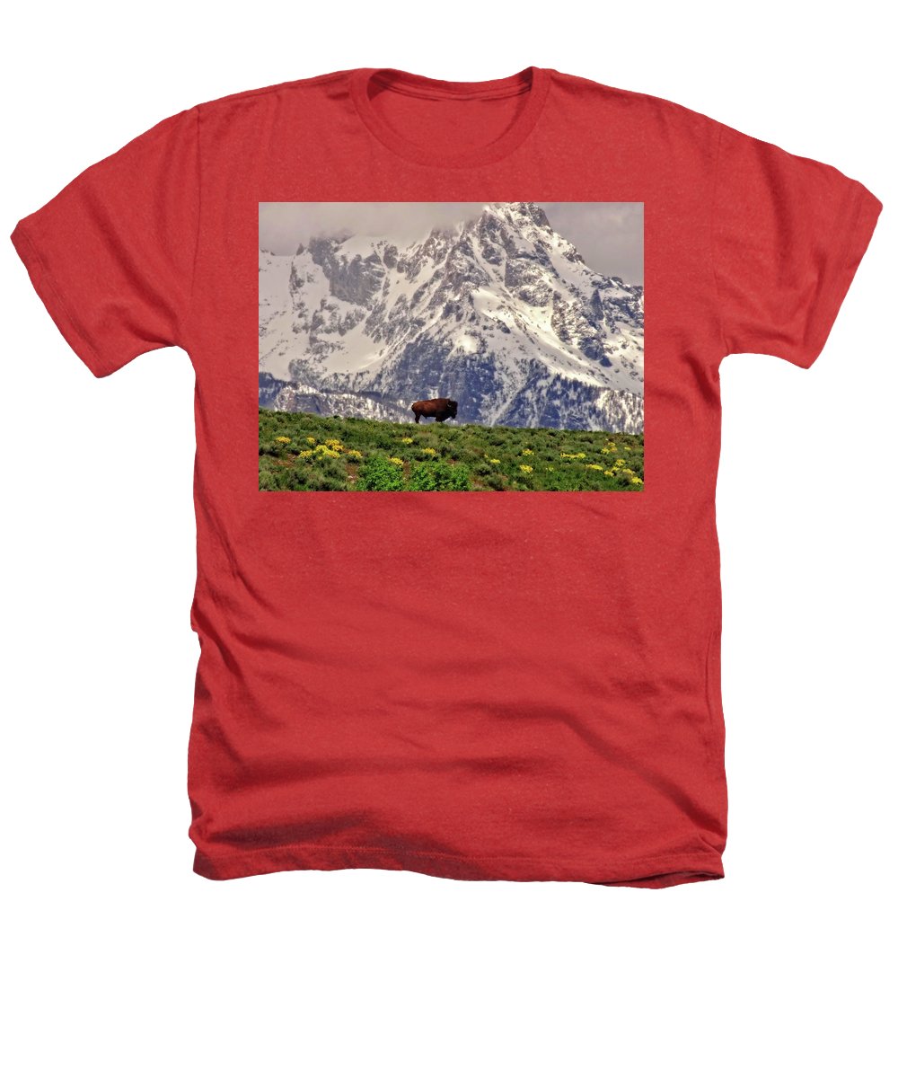 Spring Bison In Grand Teton National Park - Heathers T-Shirt