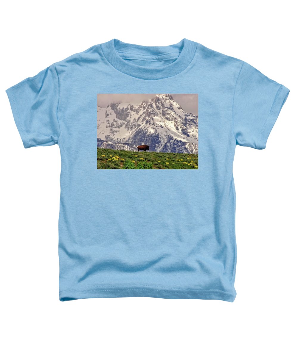 Spring Bison In Grand Teton National Park - Toddler T-Shirt