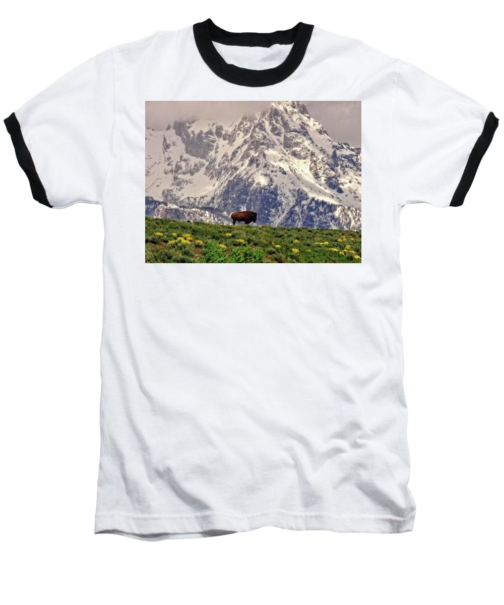 Spring Bison In Grand Teton National Park - Baseball T-Shirt