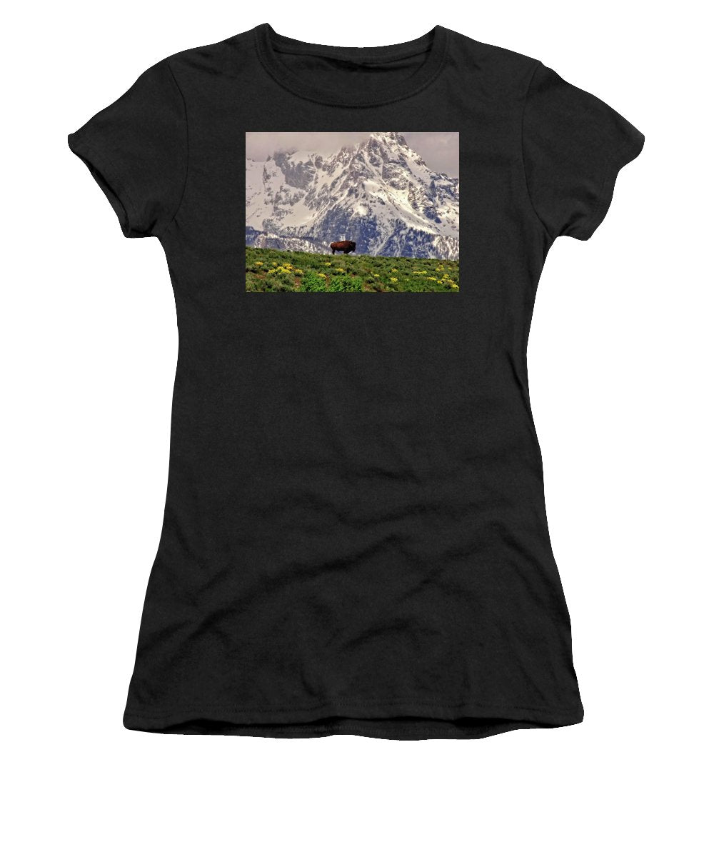 Spring Bison In Grand Teton National Park - Women's T-Shirt