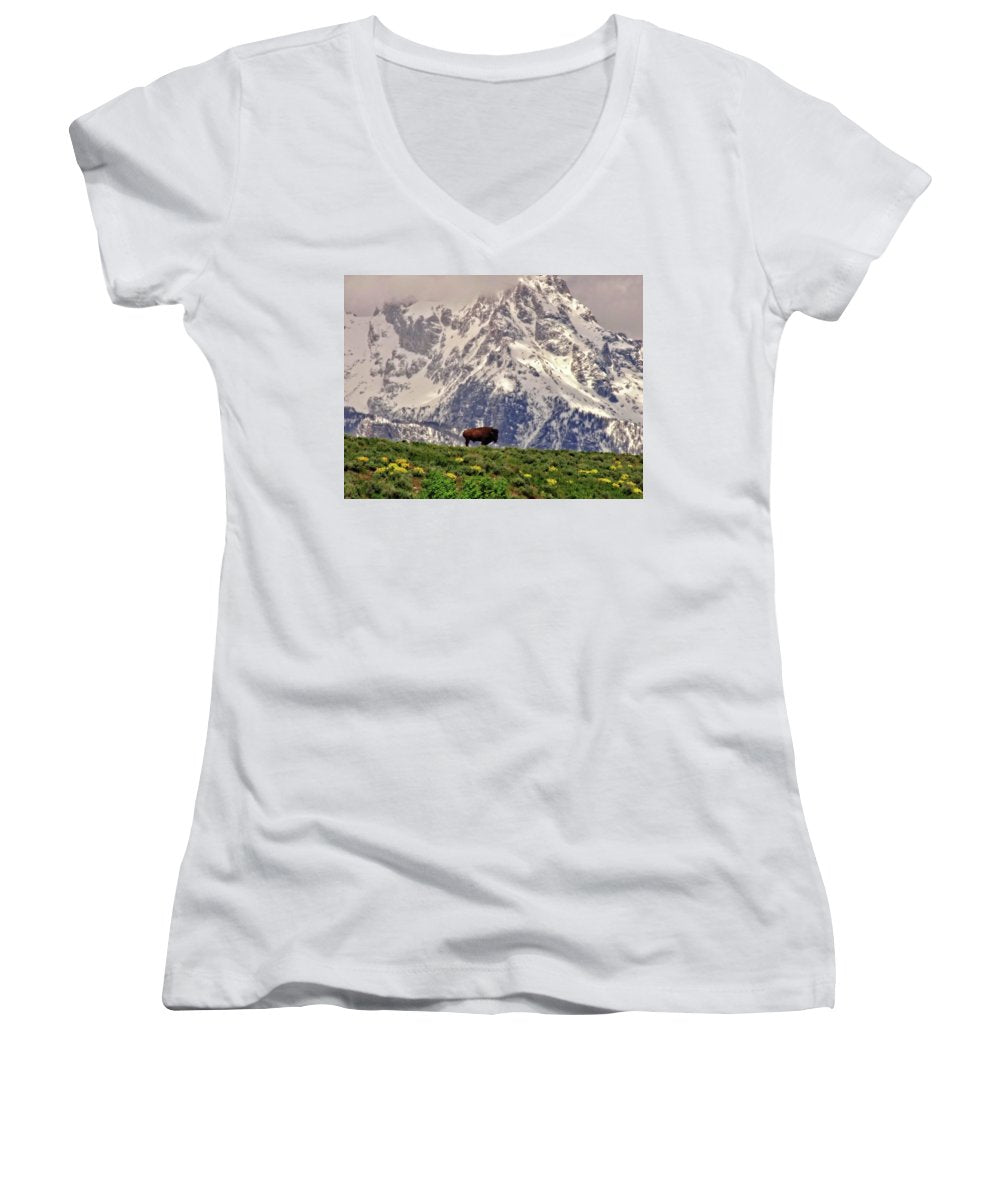 Spring Bison In Grand Teton National Park - Women's V-Neck