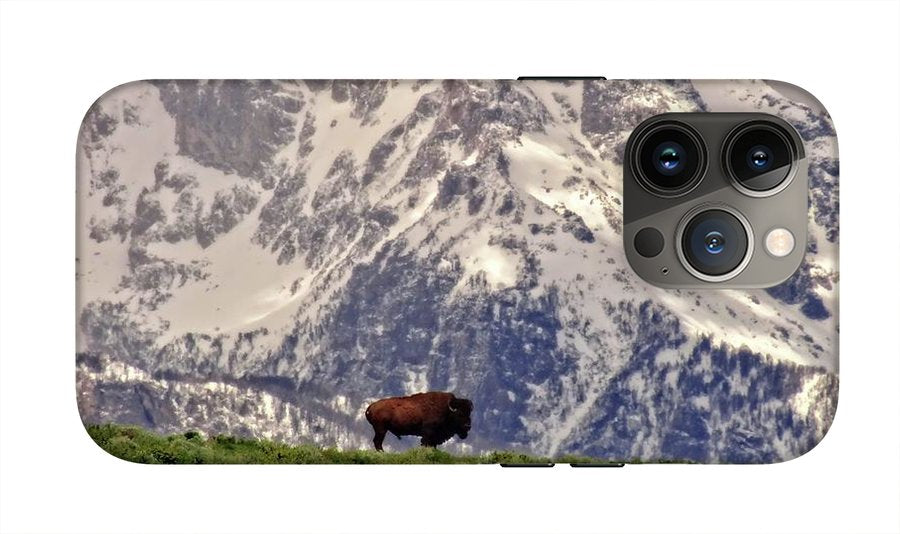 Spring Bison In Grand Teton National Park - Phone Case