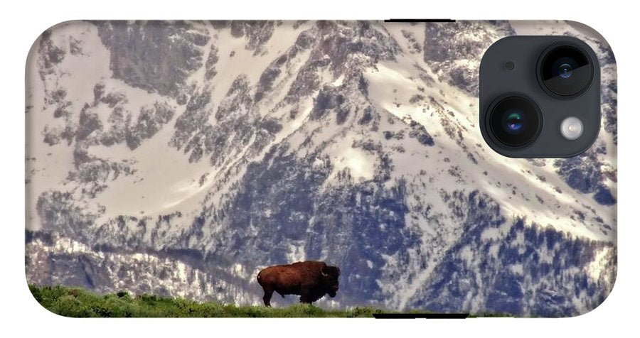 Spring Bison In Grand Teton National Park - Phone Case