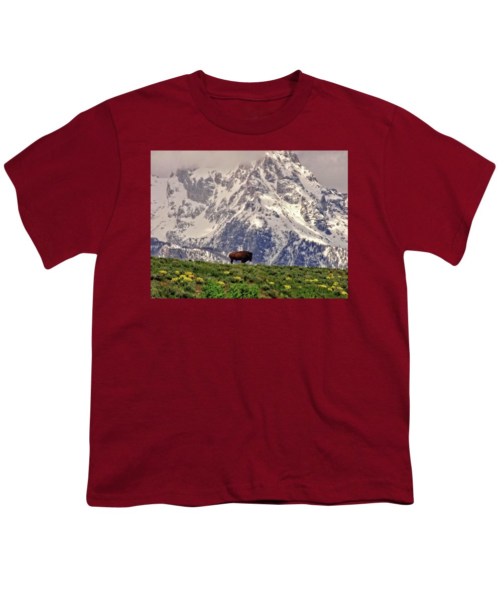 Spring Bison In Grand Teton National Park - Youth T-Shirt