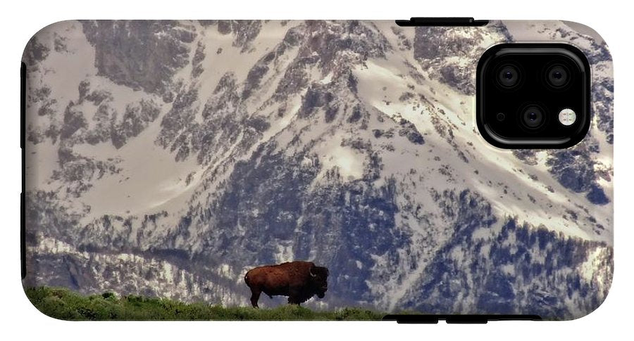 Spring Bison In Grand Teton National Park - Phone Case