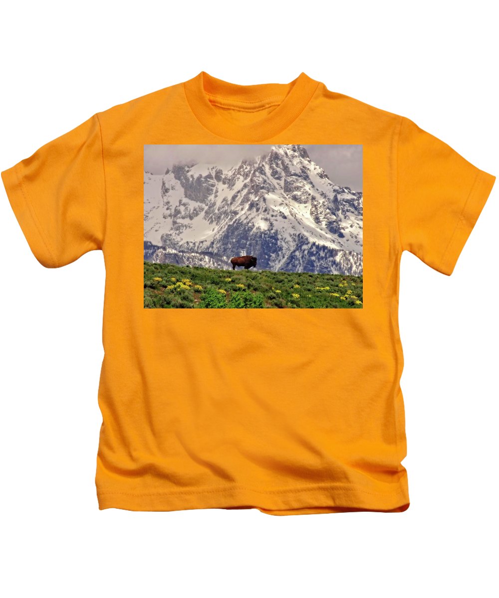 Spring Bison In Grand Teton National Park - Kids T-Shirt