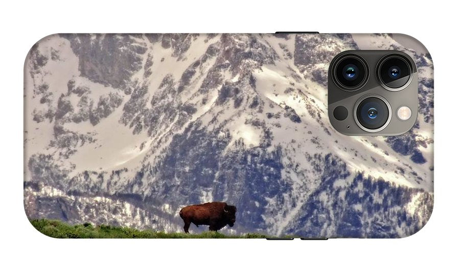 Spring Bison In Grand Teton National Park - Phone Case