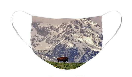 Spring Bison In Grand Teton National Park - Face Mask