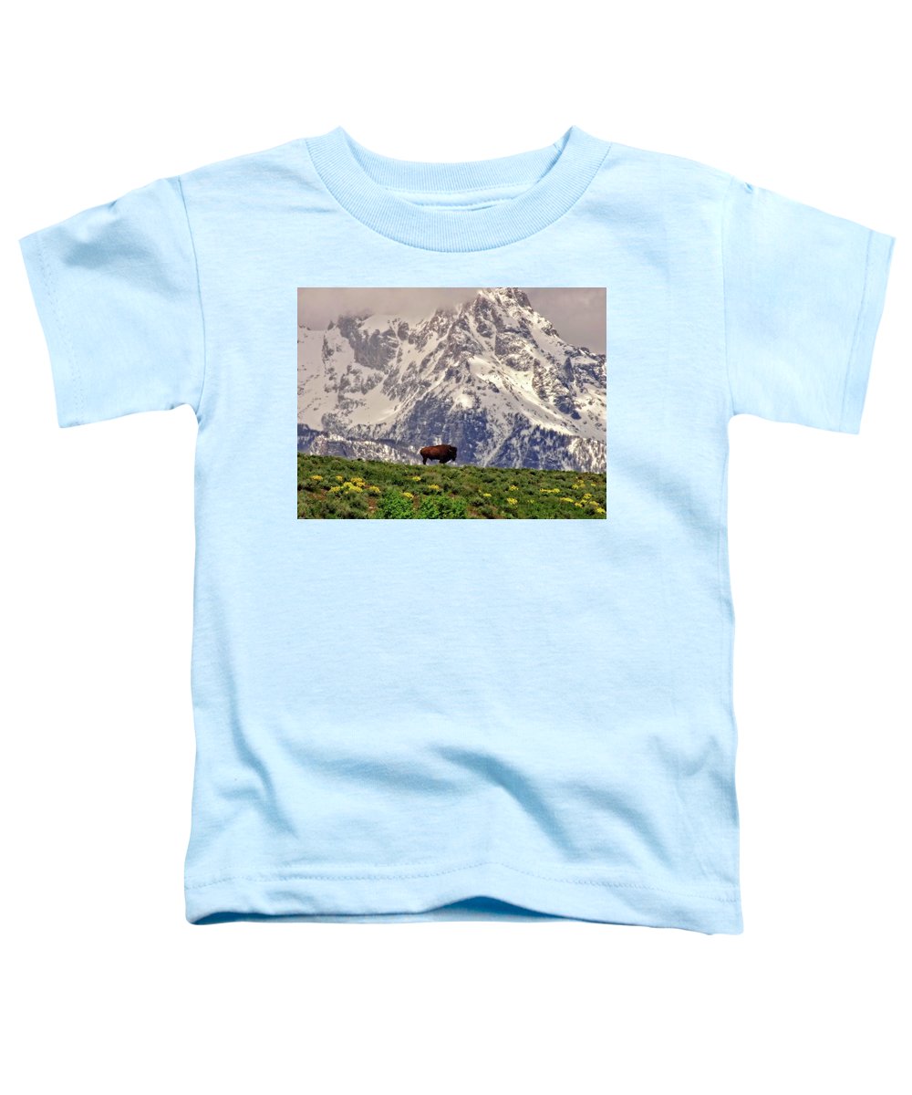 Spring Bison In Grand Teton National Park - Toddler T-Shirt