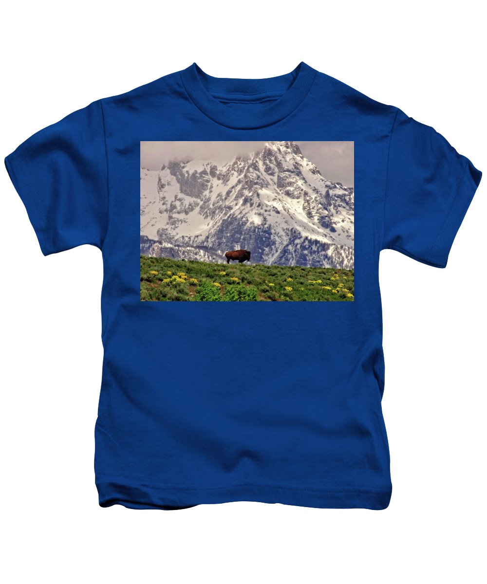 Spring Bison In Grand Teton National Park - Kids T-Shirt