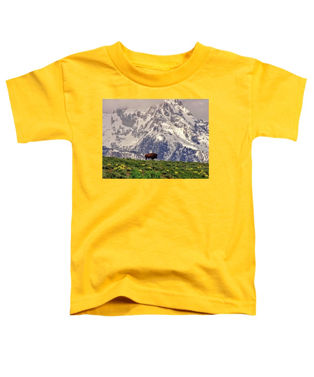 Spring Bison In Grand Teton National Park - Toddler T-Shirt