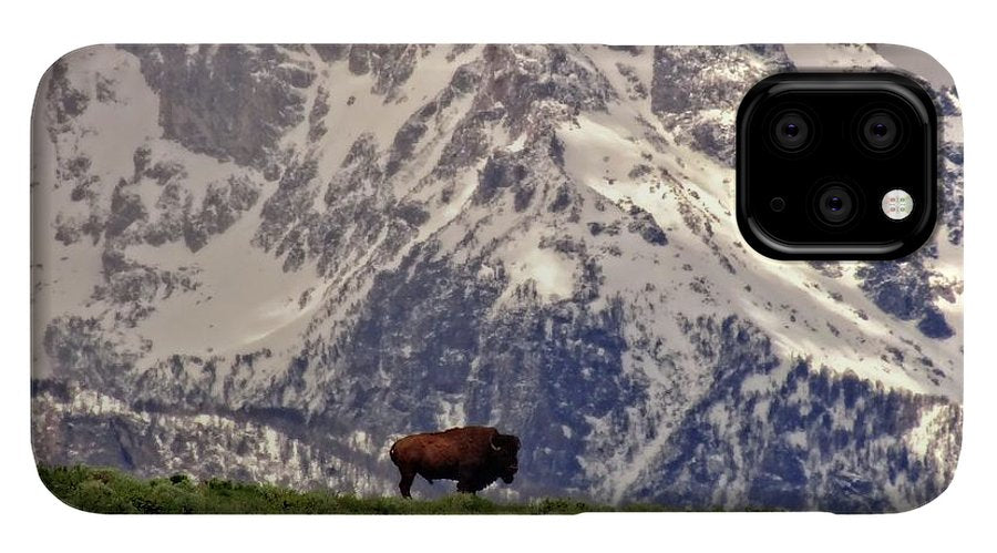 Spring Bison In Grand Teton National Park - Phone Case