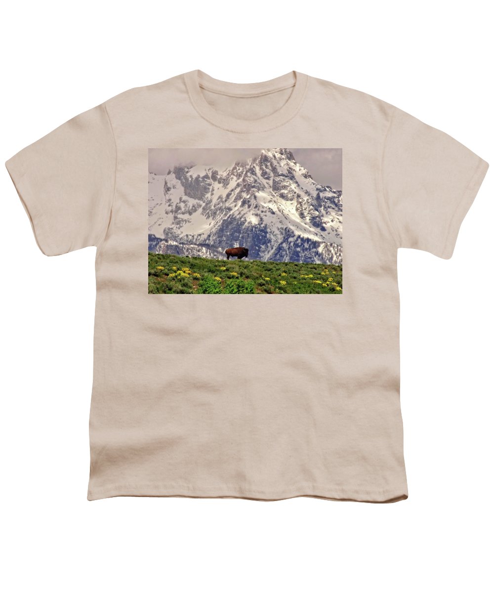 Spring Bison In Grand Teton National Park - Youth T-Shirt