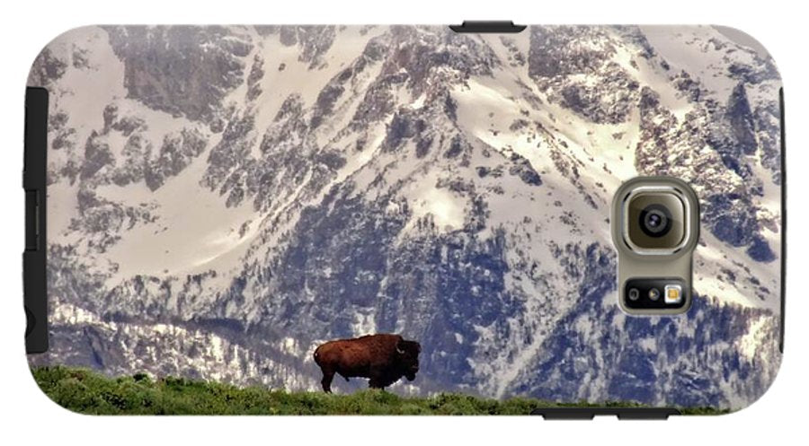 Spring Bison In Grand Teton National Park - Phone Case