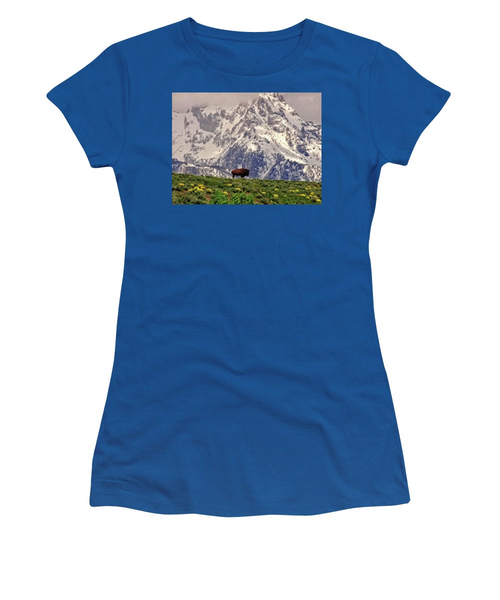 Spring Bison In Grand Teton National Park - Women's T-Shirt