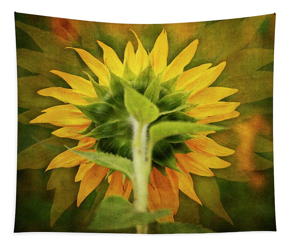 Textured Sunflower Back - Tapestry