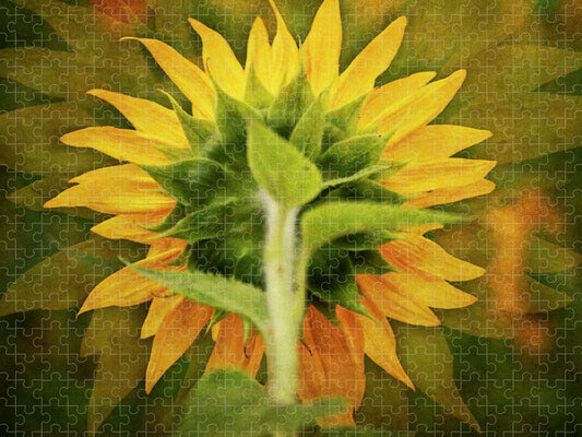 Textured Sunflower Back - Puzzle