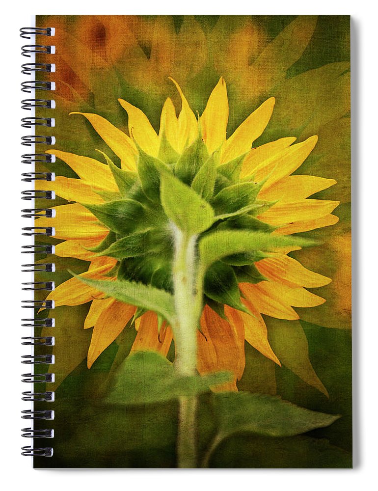 Textured Sunflower Back - Spiral Notebook