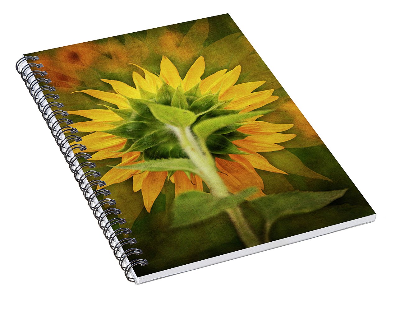 Textured Sunflower Back - Spiral Notebook