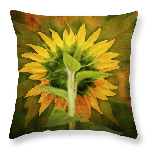 Textured Sunflower Back - Throw Pillow