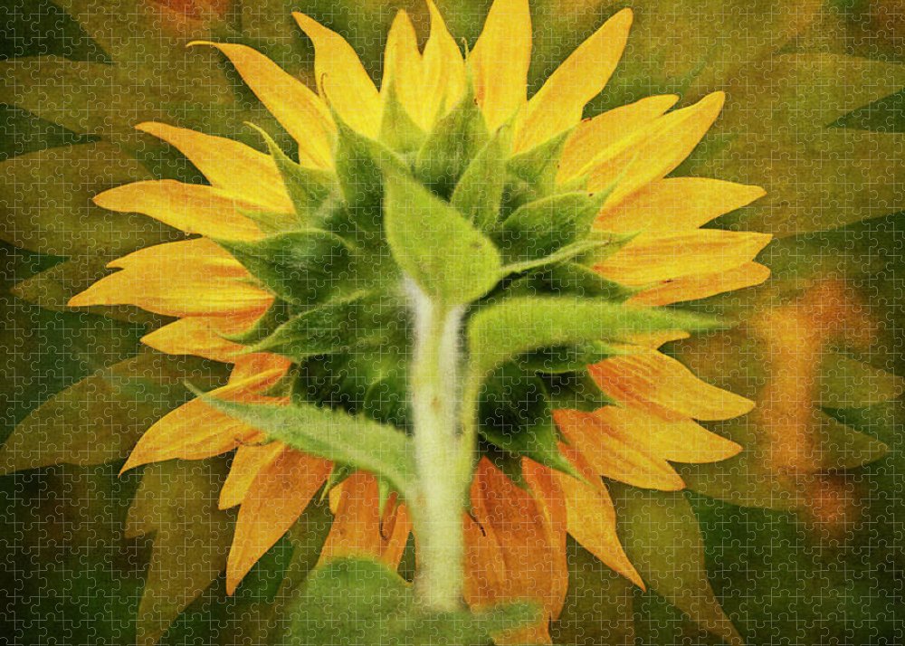 Textured Sunflower Back - Puzzle