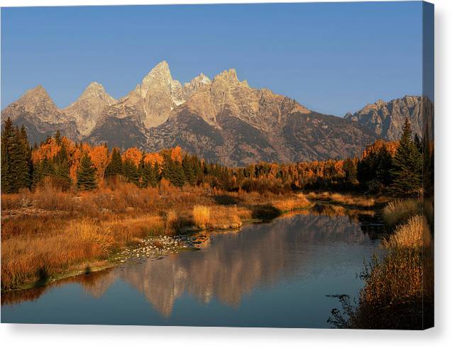 Vivid Autumn Reflection Grand Tetons - Canvas Print